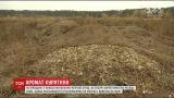 На Киевщине жители села обвиняют птицеферму в создании могильника кур