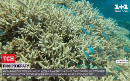 Австралия разругалась с ЮНЕСКО из-за рифа, который страдает от изменений климата