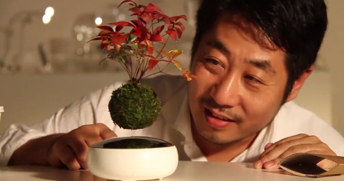 Команда Air Bonsai уже превзошла свой финансовый порог в 80 тыс. долл.