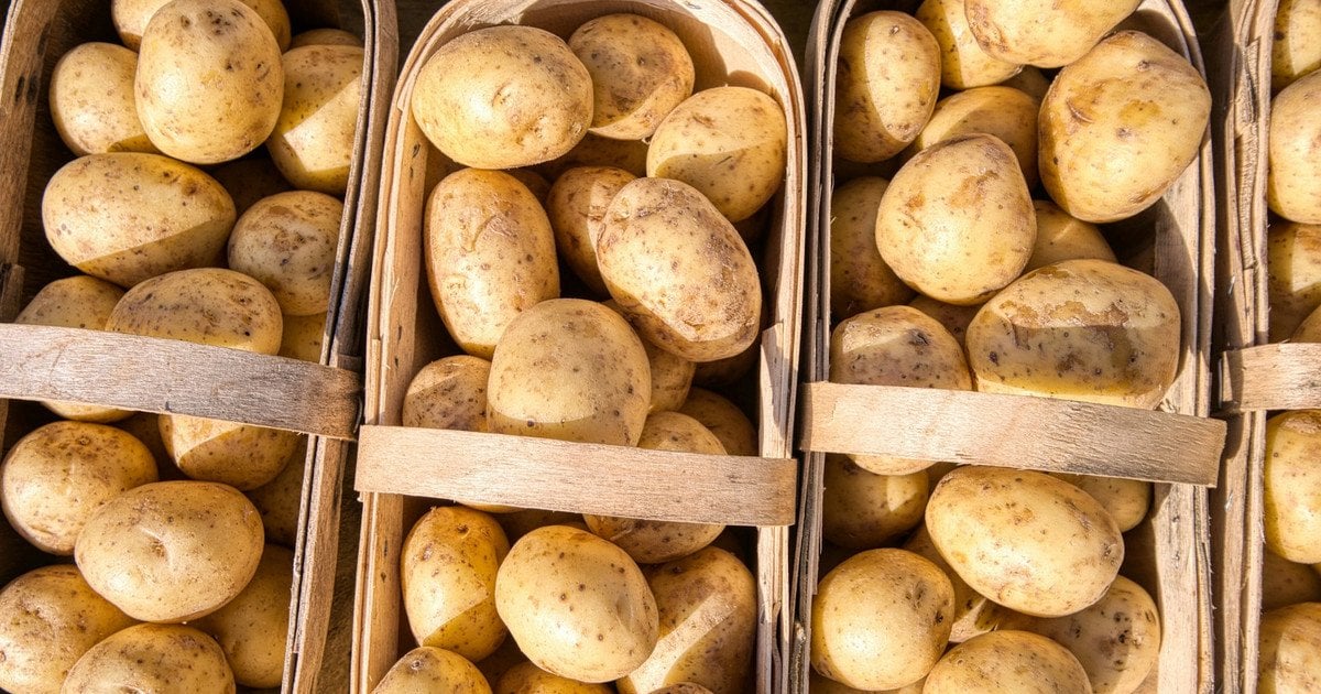 Як зберегти овочі