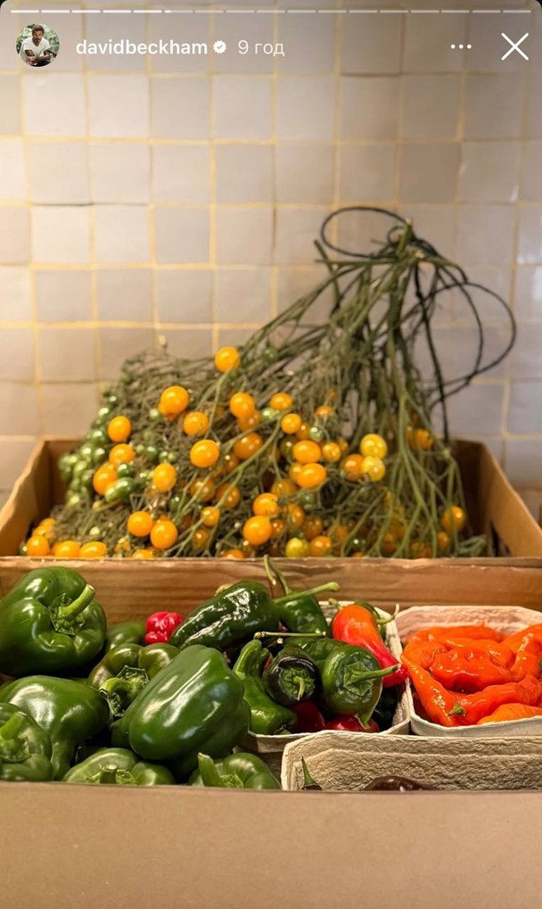 Урожай з городу Девіда Бекхема.