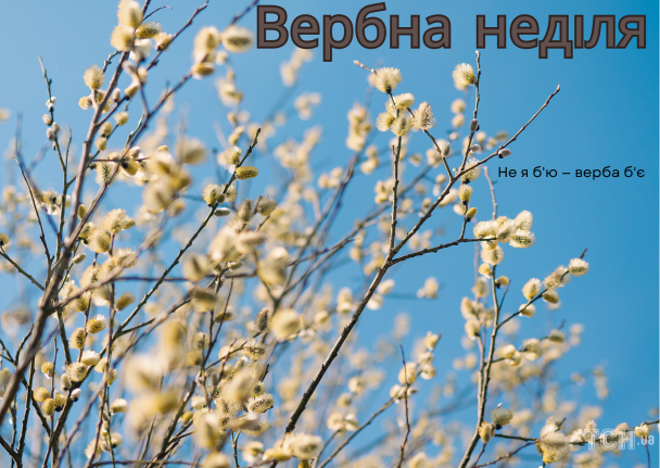 Привітання з Вербною неділею / © ТСН.ua