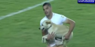 Кумедний пес-стрибунець зупинив матч Кубка Лібертадорес