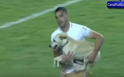 Смешной пес-попрыгун остановил матч Кубка Либертадорес
