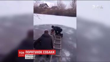 Операція з порятунку чотирилапого: у селі поблизу Києва врятували пса з крижаної води