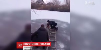 Операція з порятунку чотирилапого: у селі поблизу Києва врятували пса з крижаної води