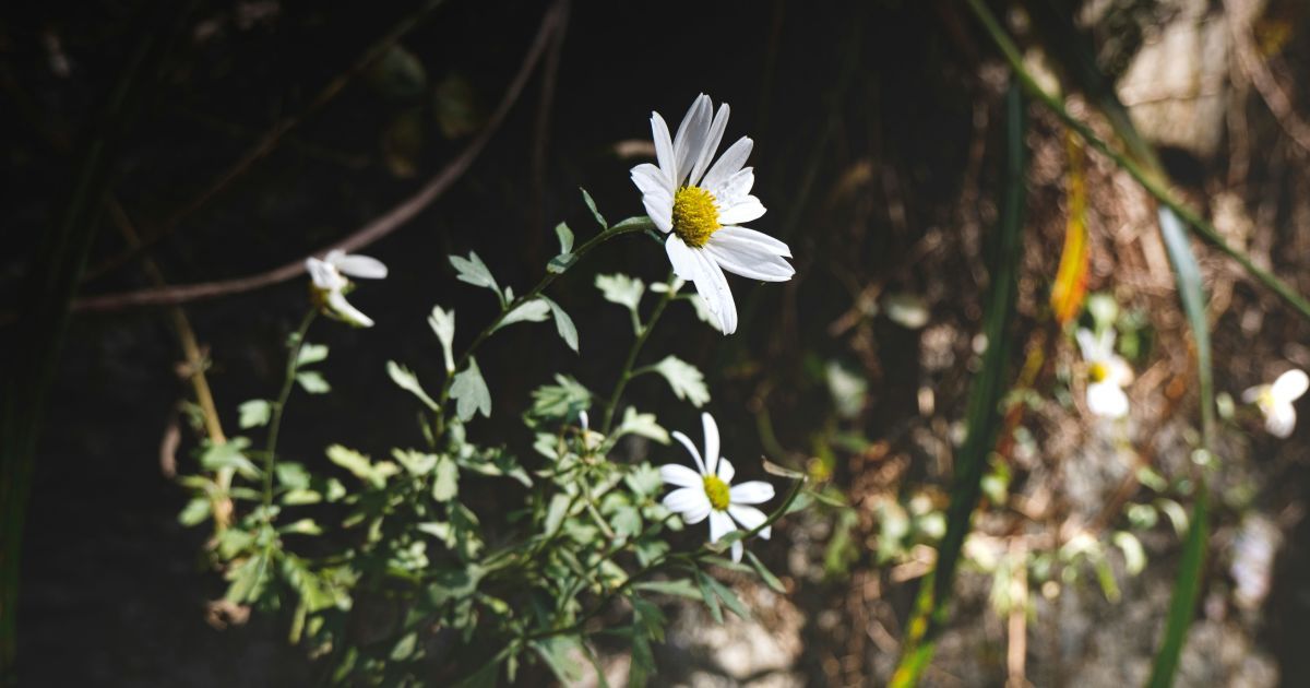 Який сьогодні 18 вересня день ангела