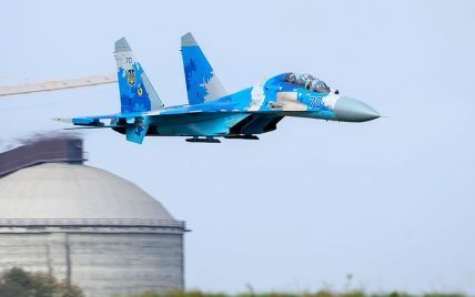 В Сети показали фото с места падения самолета Су-27 на Житомирщине