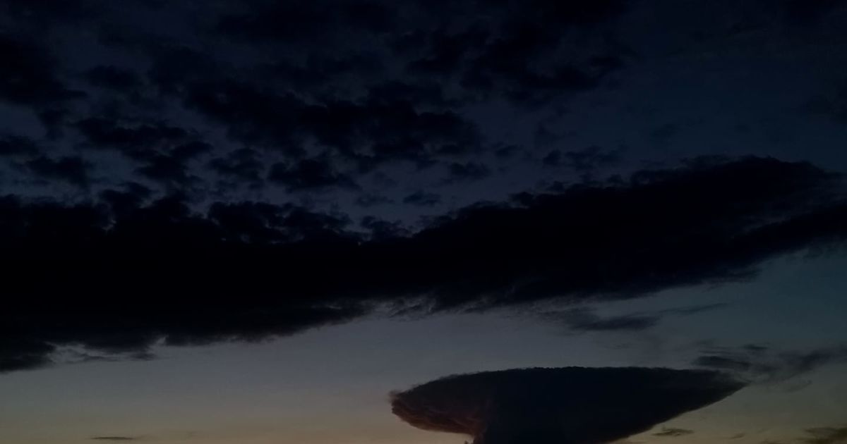 Фото: Анатолий Бойко