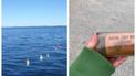 Найдена бутылка, выпущенная в море 63 года назад / Фото: Fisheries and Oceans Canada