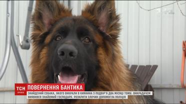 Господар знайшов свого собаку, якого викрали у новорічну ніч з подвір'я