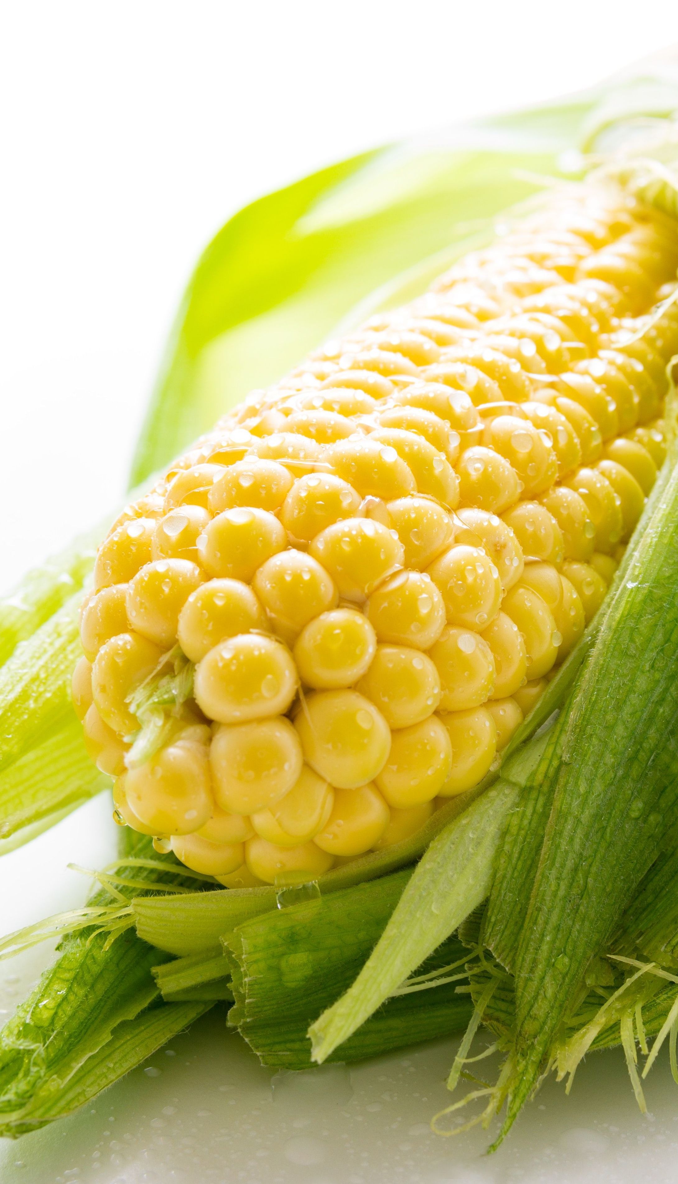 Кукуруза уже заполонила украинские рынки. Как выбрать и сколько кушать