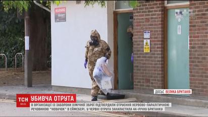 В Организации по запрещению химического оружия подтвердили отравление "Новичком" в Эймсбери