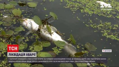 Новини України: в річку Тетерів припинили стікати нечистоти