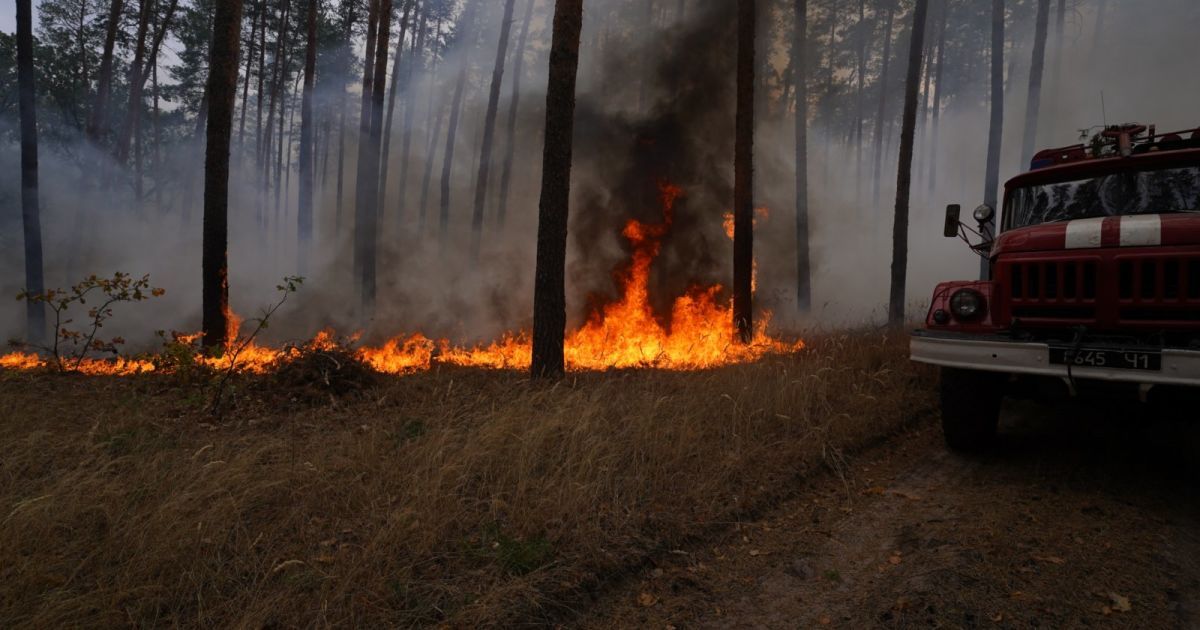 пожежа у Луганській області_2 / © ГСЧС