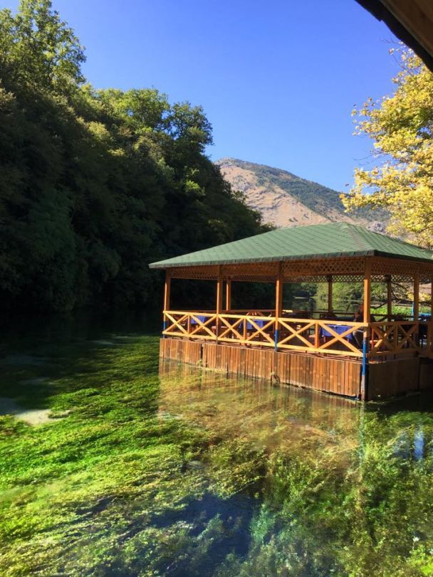  / © facebook.com/olenamozgova1