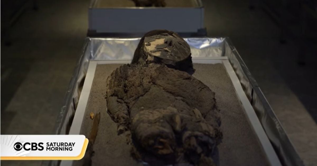 Мумія культури чинчорро в Чилі