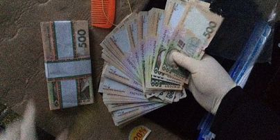 На Волыни на взятке за земельные махинации схватили сельского голову