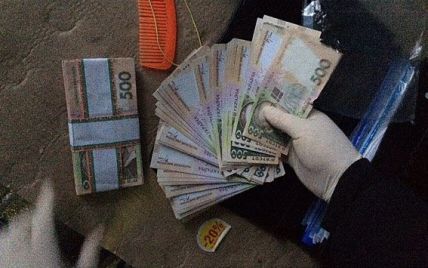 На Волыни на взятке за земельные махинации схватили сельского голову