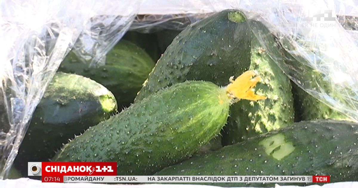 Украина впервые за всю историю импортировала огурцы в июле