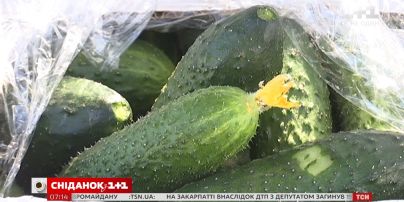 Украина впервые за всю историю импортировала огурцы в июле