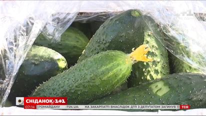 Украина впервые за всю историю импортировала огурцы в июле