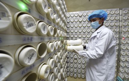 В Китае опровергают информацию о болезни вирусологов из Уханя за месяц до начала пандемии COVID