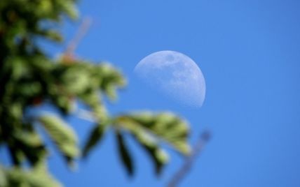 У кінці січня мешканцям Землі відкриється унікальне явище  - "Блакитний Місяць" 