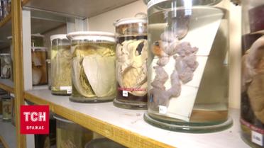 ТСН покажет спецрепортаж из лабораторий, изучающих COVID-19