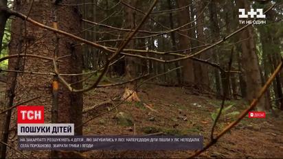 Новини України: на Закарпатті 4 дітей пішли до лісу і зникли