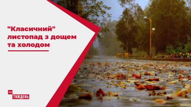 Зелена трава, дощі та  перший сніг - яким буде листопад в Україні