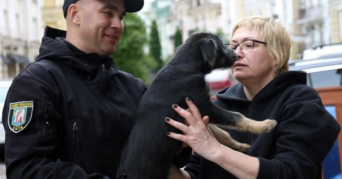 У Києві собака забрів до метро