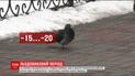 Сильные морозы надвигаются на Украину