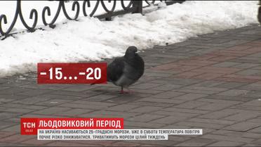 Сильні морози насуваються на Україну