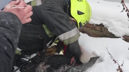 З пожежі в Чернігові надзвичайники врятували кота