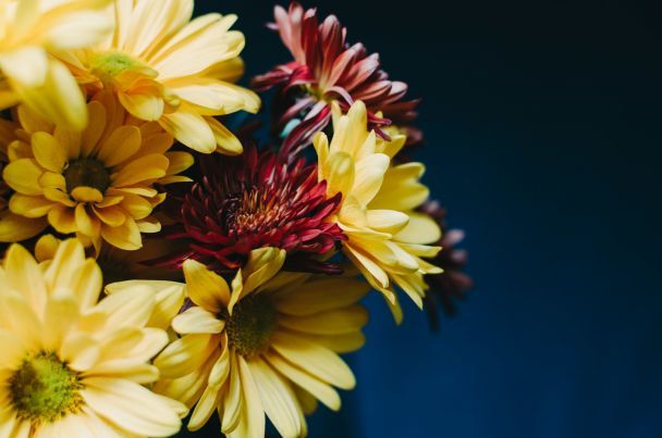 День ангела 3 грудня — душевні привітання в прозі / © Unsplash
