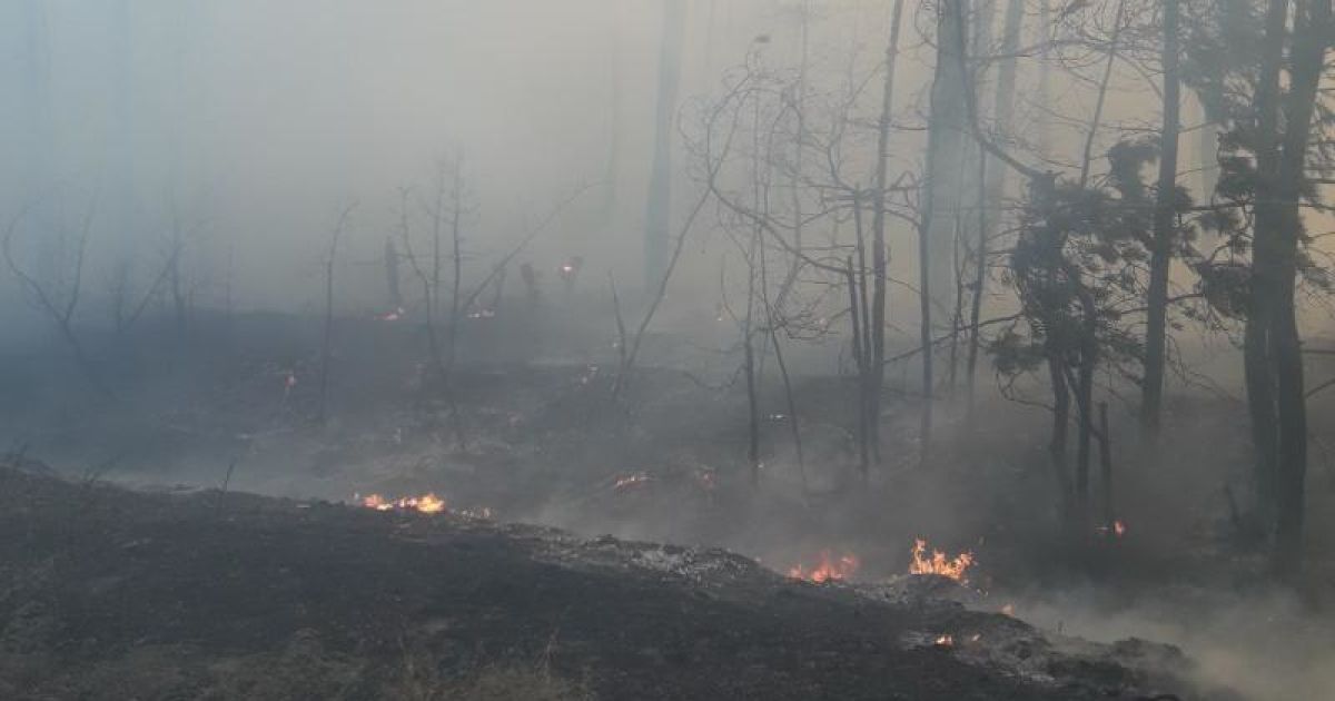 Рятувальникам вдалося локалізувати пожежу у Харківській області