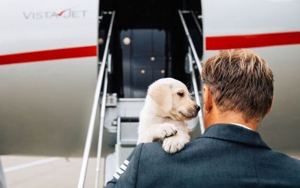 На Мальті відкрили авіарейси для пасажирів з тваринами