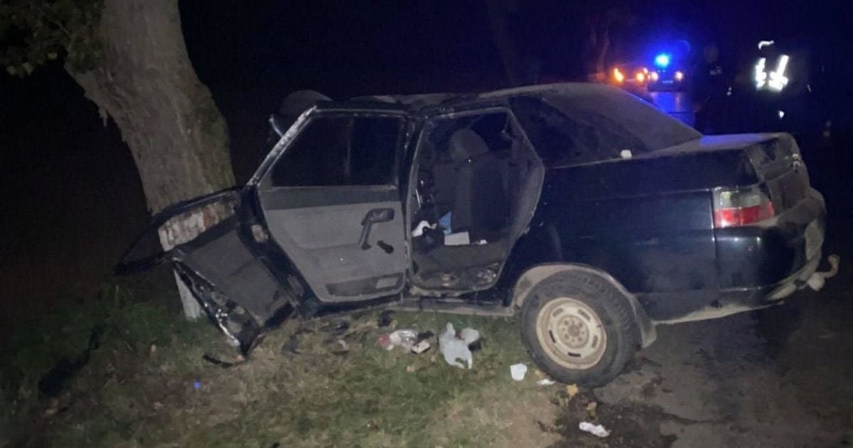 У Київській області капітан поліції злетів на своєму авто у кювет і зіткнувся з деревом / © МВС