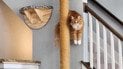 Советы для владельцев кошек