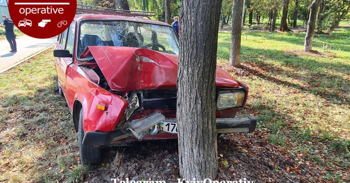 В Киеве на Выговского водитель ВАЗ влетел в дерево: появились жуткие фото