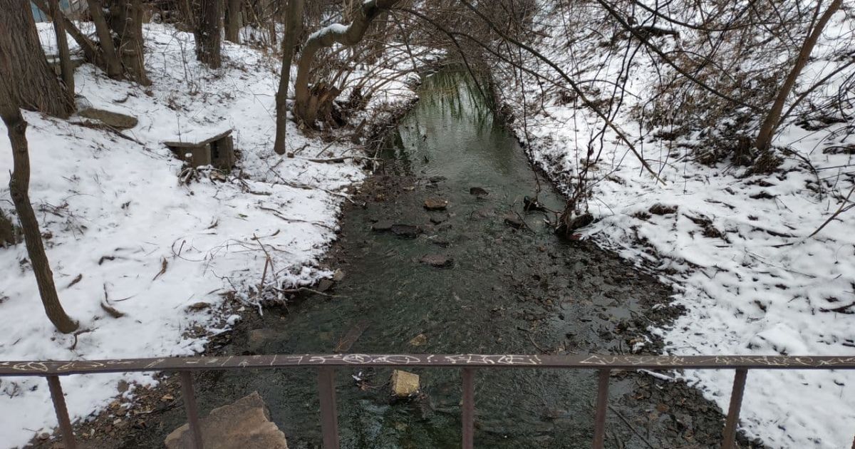 У Києві річка Сирець в парку Нивки стала зеленою