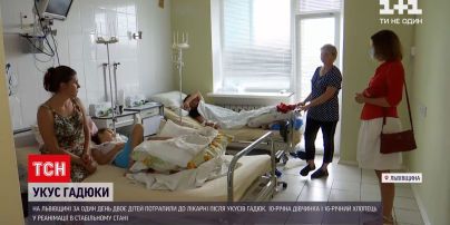 Новини України: у дітей, яких у Львівській області вкусили змії, отрута може викликати тромбоз