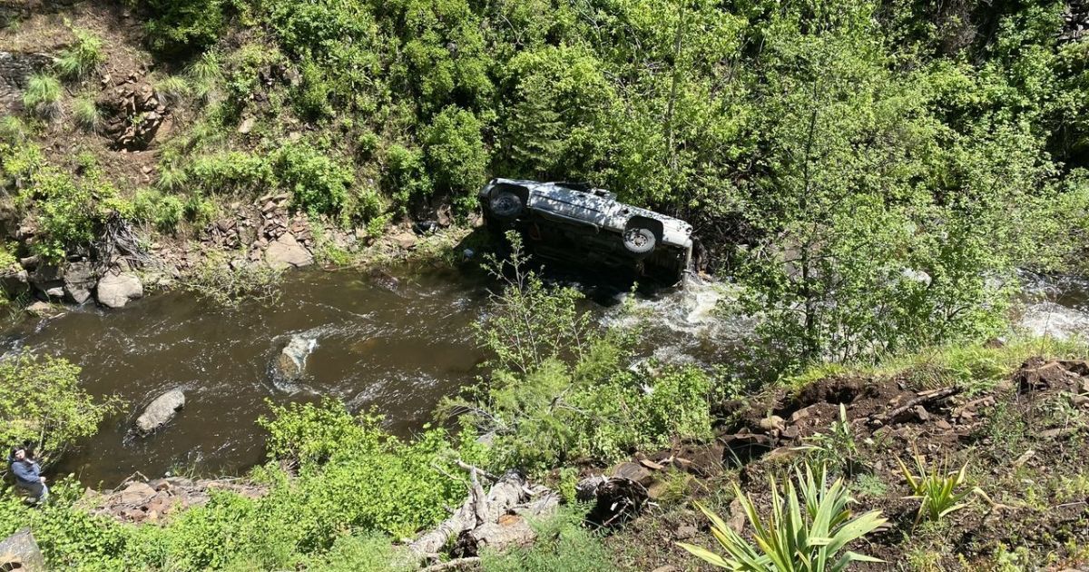 У США чоловік разом з собаками потрапив в аварію / Фото: Baker County Sheriff's Office