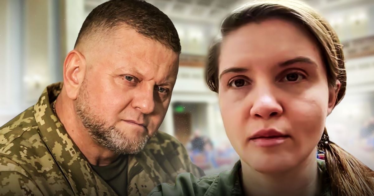 Залужний та Безугла