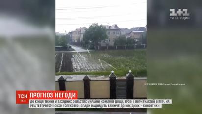 Дождевые реки на Львовщине и летняя жара в столице: погодная лихорадка трясет Украину