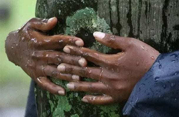 Труфена Мутоні / © Guinness World Records