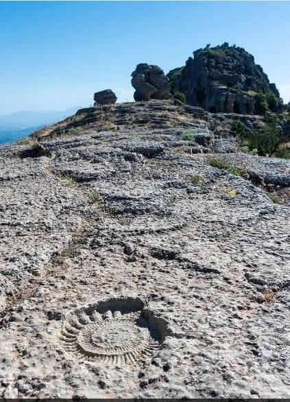 Морські скам’янілості у горах Фото dailymail
