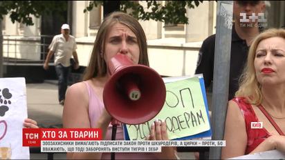 Зоозащитники и представители цирка поссорились во время митингов под АП