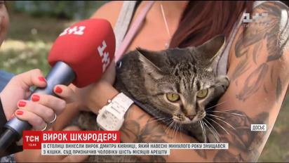 Суд объявил приговор мужчине, который весной прошлого года издевался над котом